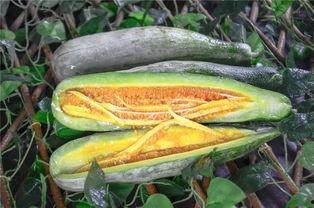 网红吃瓜热门,揭秘娱乐圈最新热点事件 第3张 网红吃瓜热门,揭秘娱乐圈最新热点事件 第3张