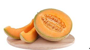 狗乐意吃哈密瓜,揭秘狗狗的独特口味 第3张 狗乐意吃哈密瓜,揭秘狗狗的独特口味 第3张