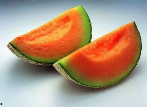 能到吃哈密瓜,探寻哈密瓜的甜蜜之旅  第2张